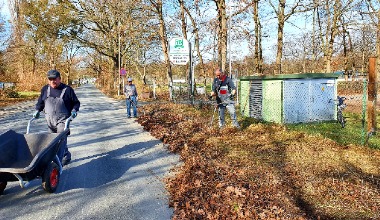 Neue Frisur für die Hecke